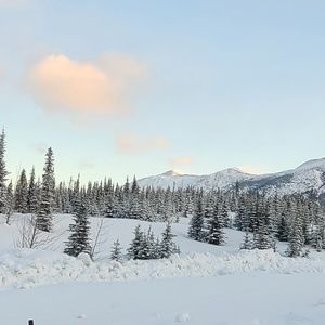 Meet your Posher, Charles